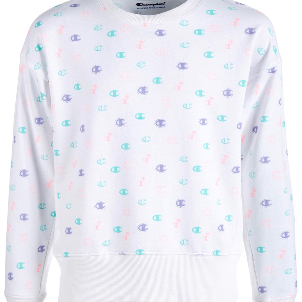 Champion sweater